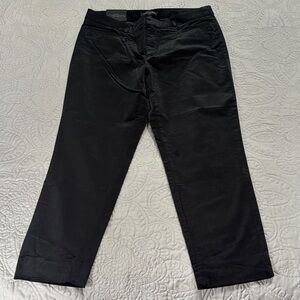 Banana Republic Black Velvety Sloan Pants - NWT
